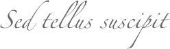 Sed tellus suscipit
